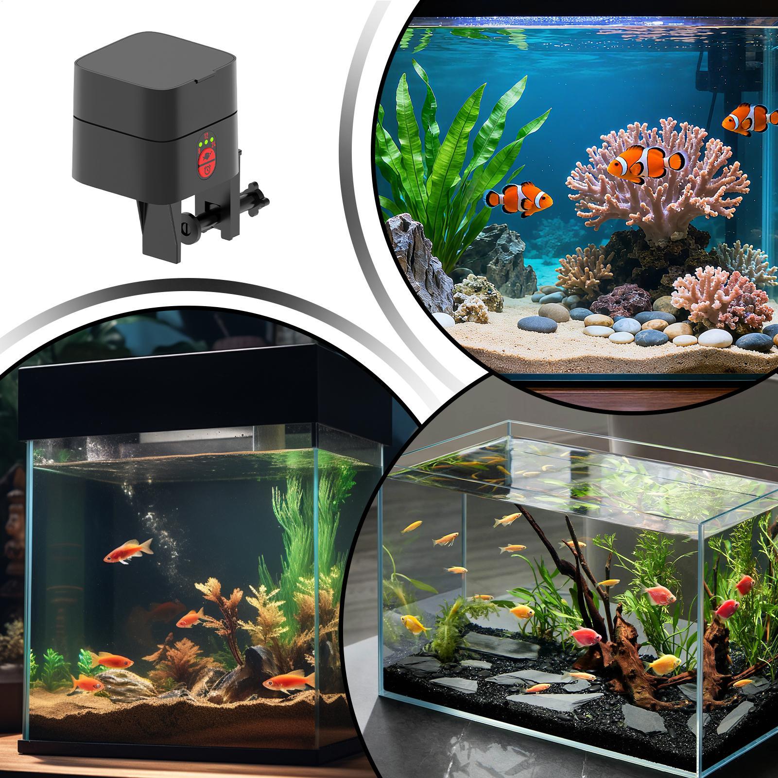 Automatische visvoederautomaat - Fishing Line Dispenser recensie en prijs